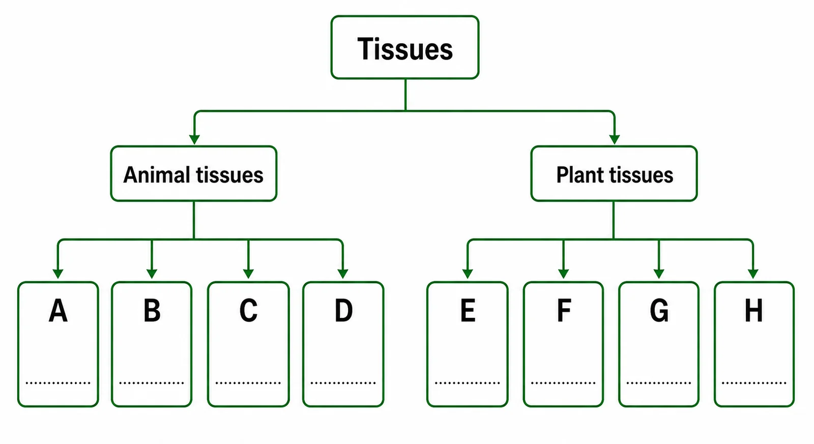 Label the tissue classification diagram