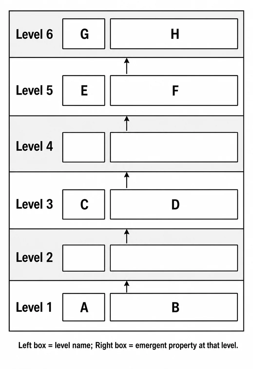 Label the biological organisation hierarchy