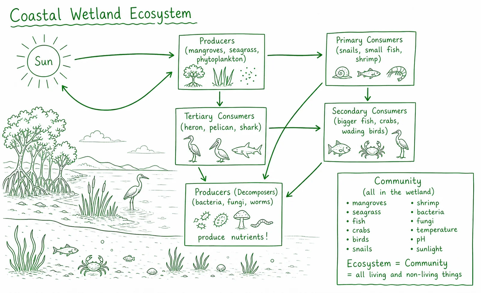 Diagram critique — spot the errors in this student’s work
