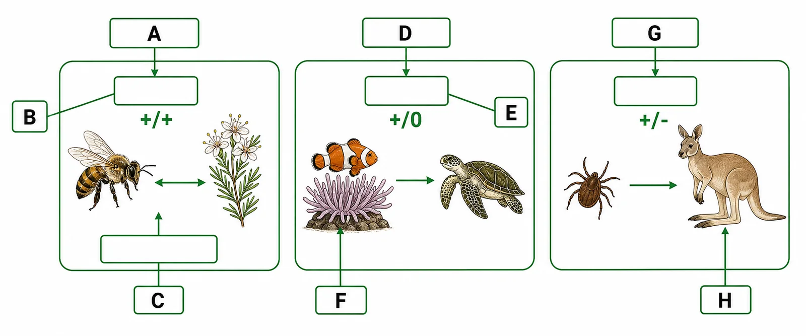 Label the symbiosis overview diagram