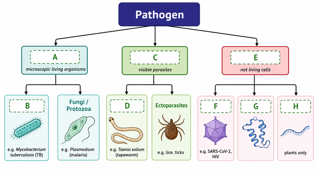 Pathogen classification branching-tree diagram