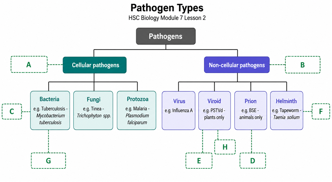 Pathogen types classification tree