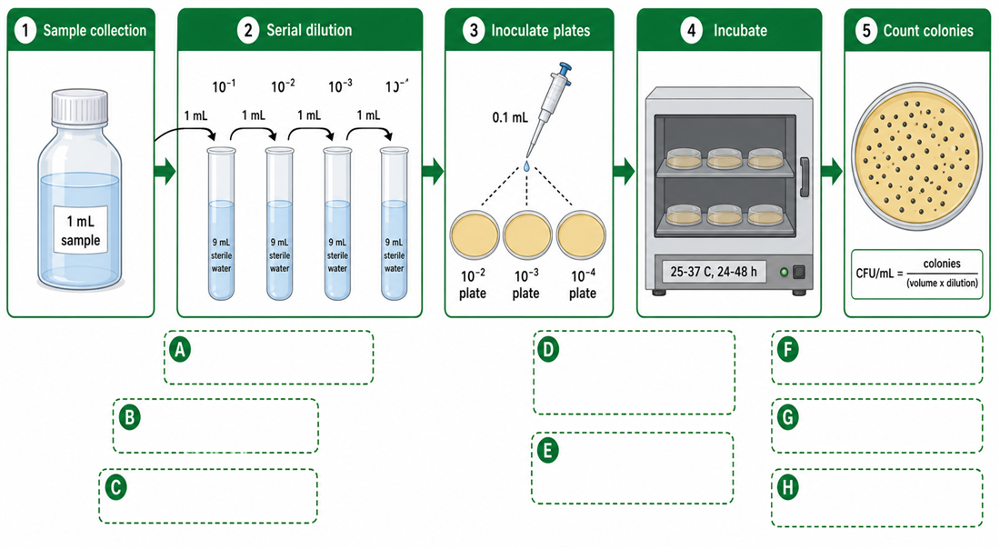 Serial dilution and plate count procedure