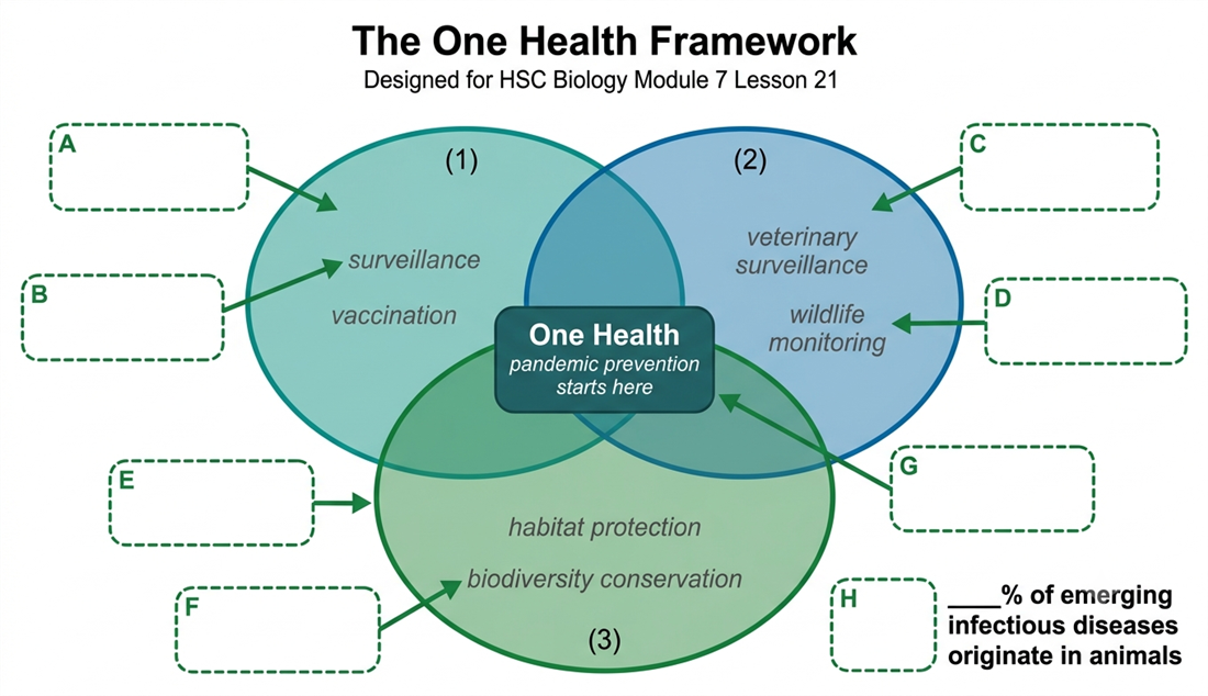 The One Health Framework Venn diagram