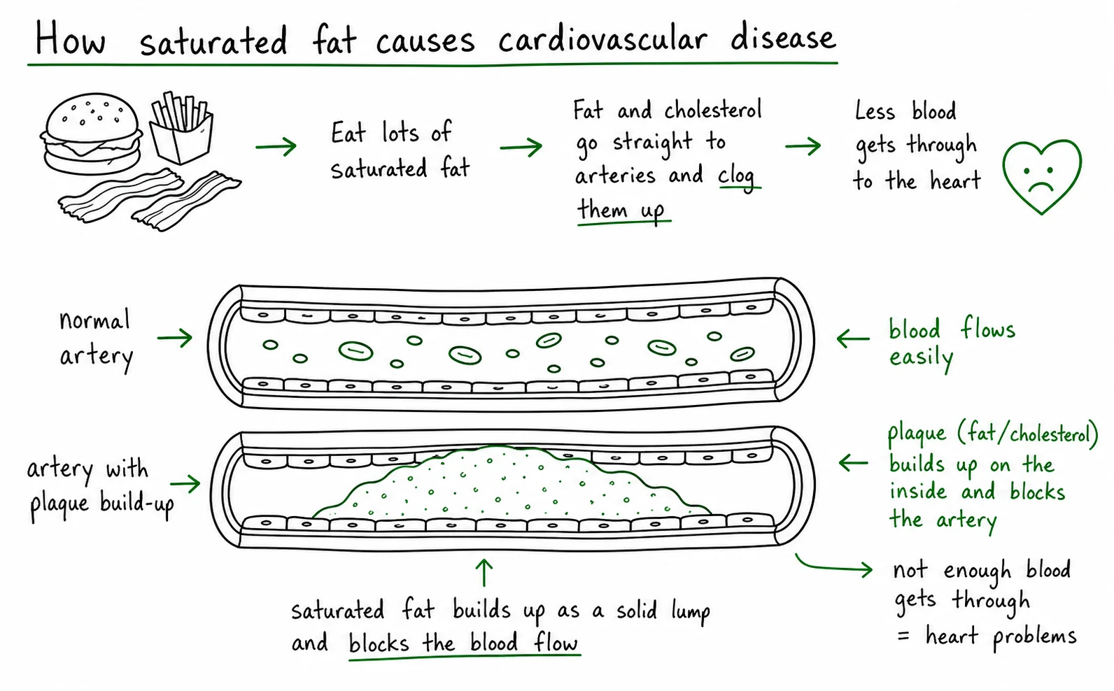 Diagram critique, what is wrong with this student’s atherosclerosis diagram?