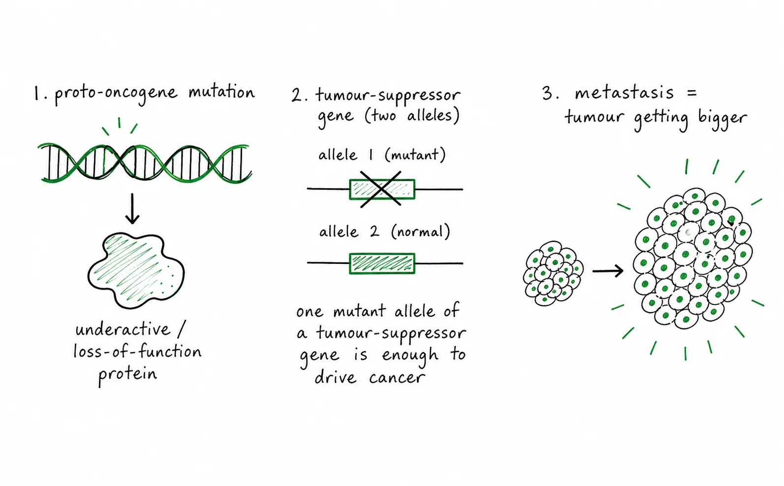 Diagram critique, three errors in a student's disease explanation