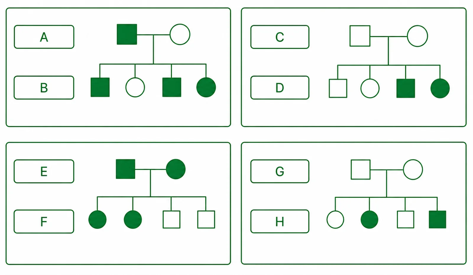 Label the inheritance-pattern diagram