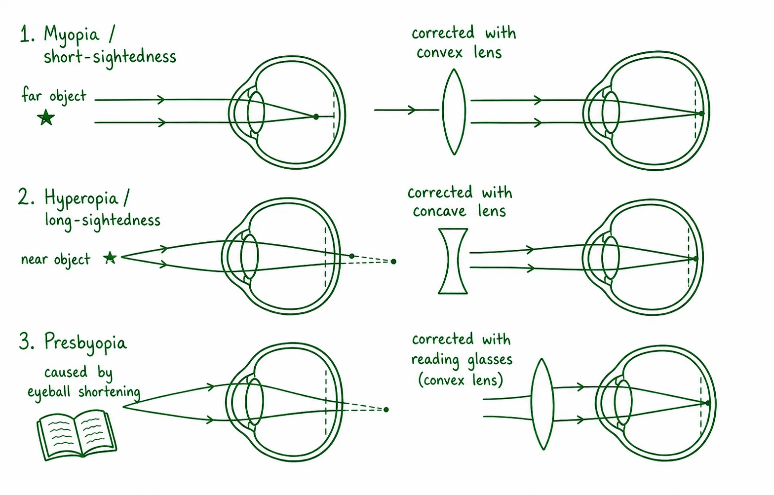 Diagram critique, spot the errors in this student’s diagram