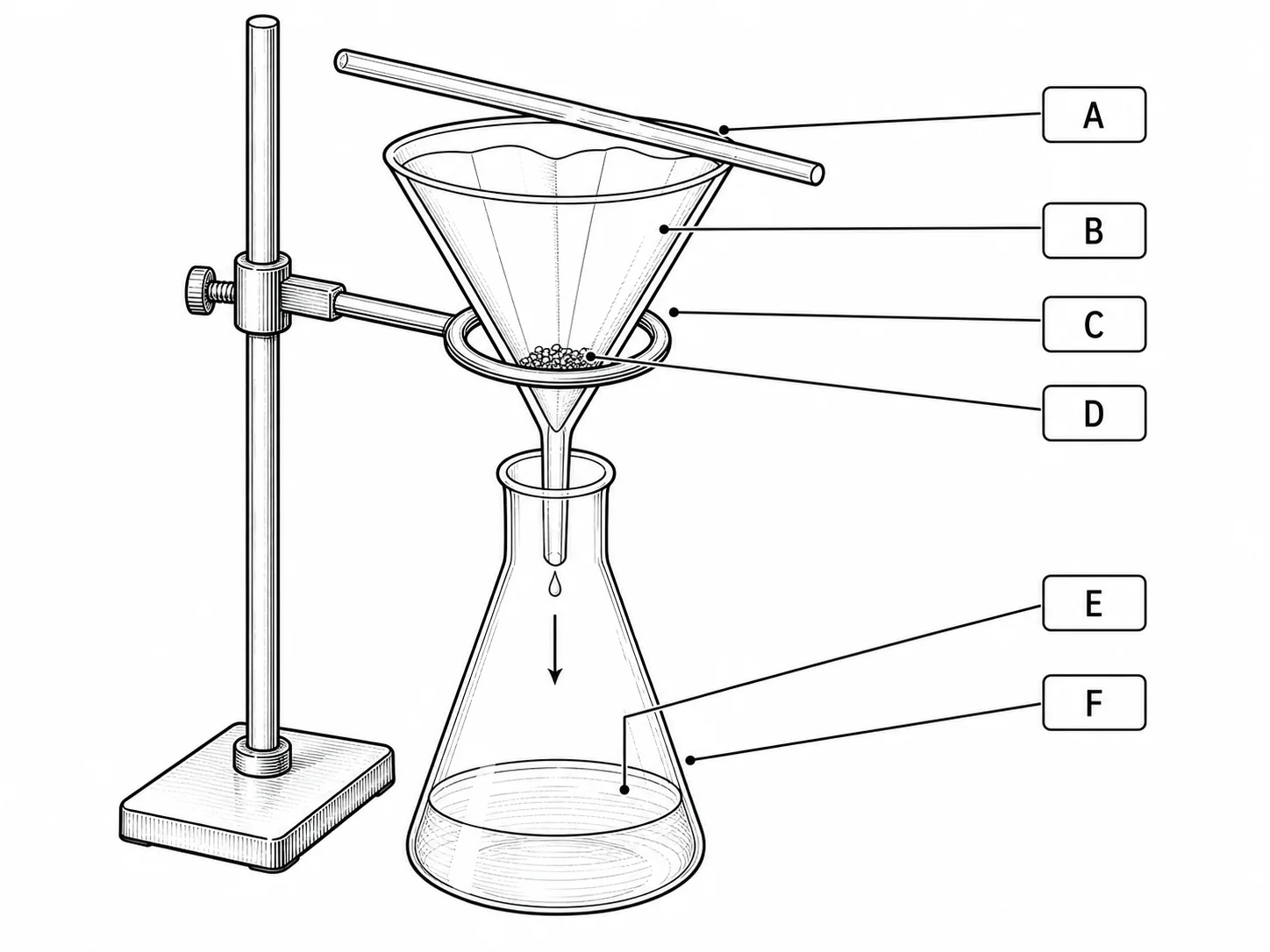 Label the filtration setup