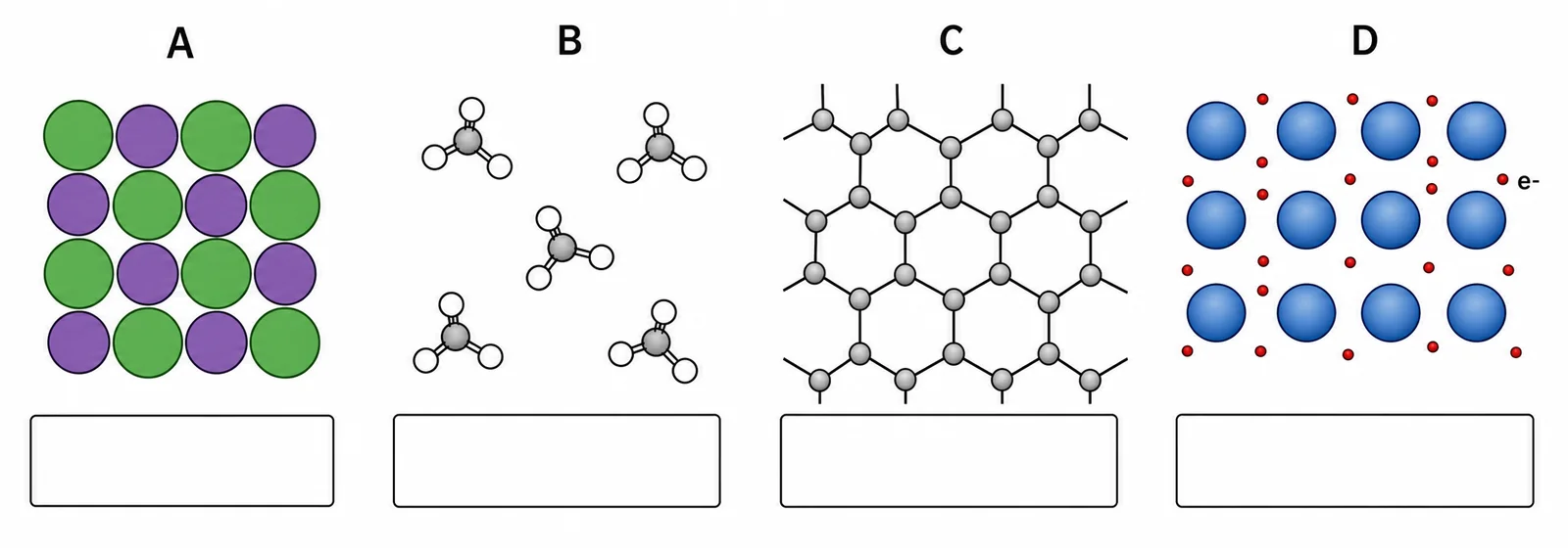 Label the four structural types