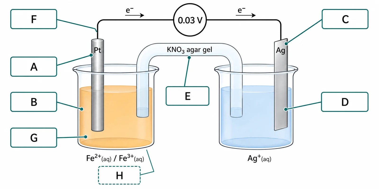 Label the galvanic cell with an inert electrode
