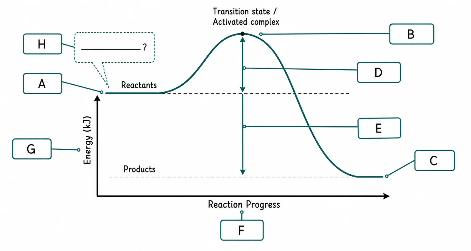 Label the energy profile diagram