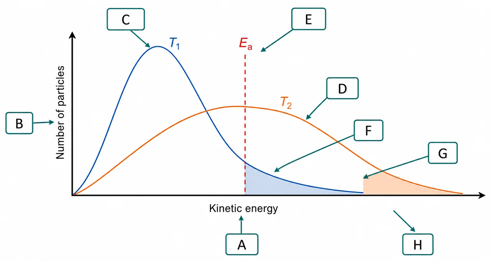 Label the Maxwell-Boltzmann distribution diagram