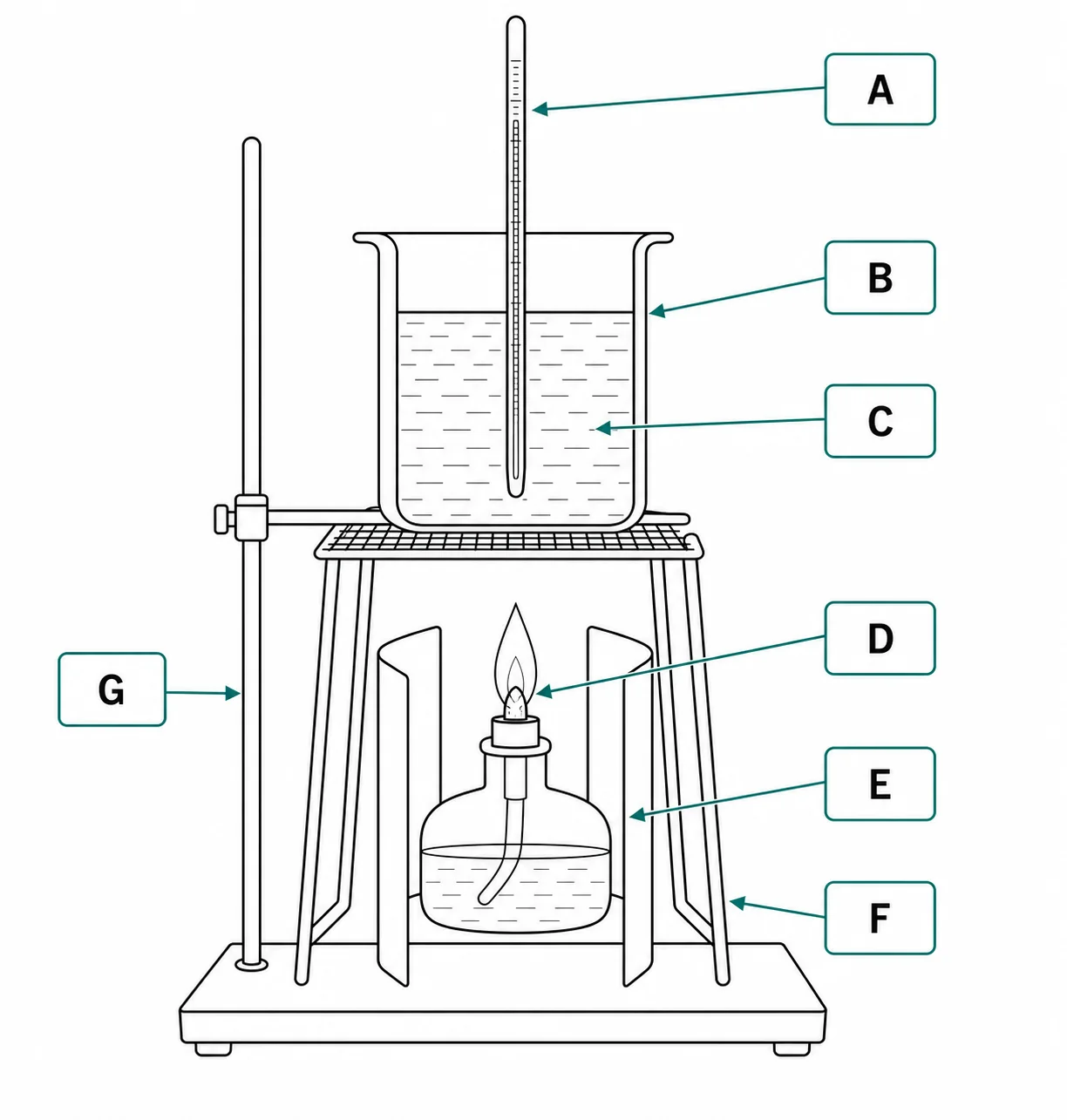 Label the calorimeter setup