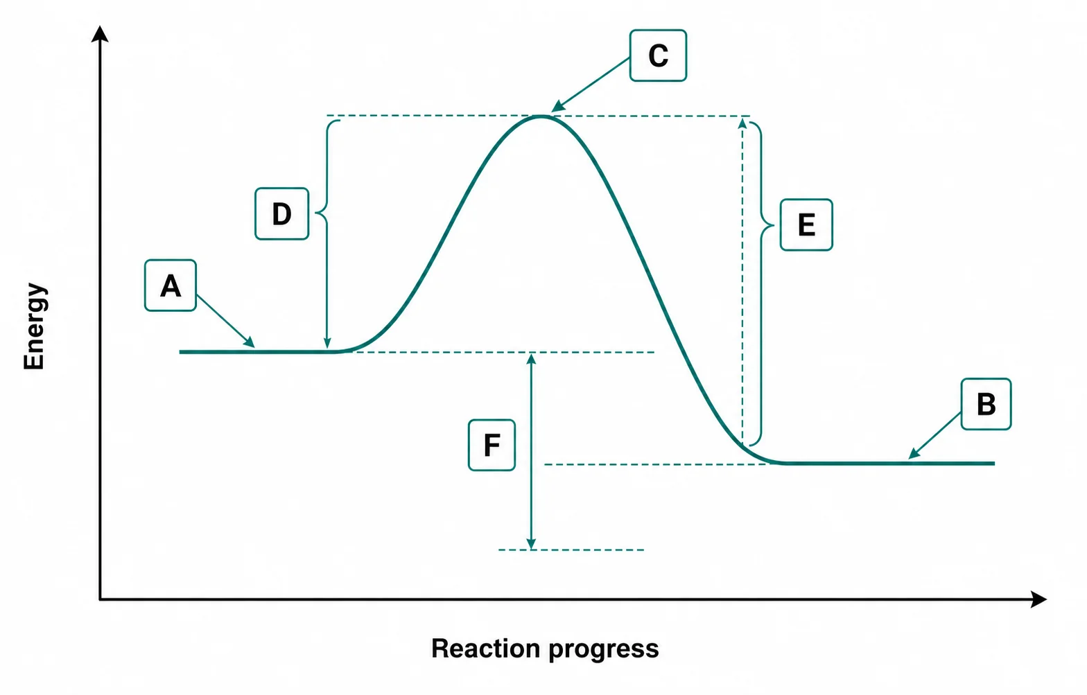Label the energy profile