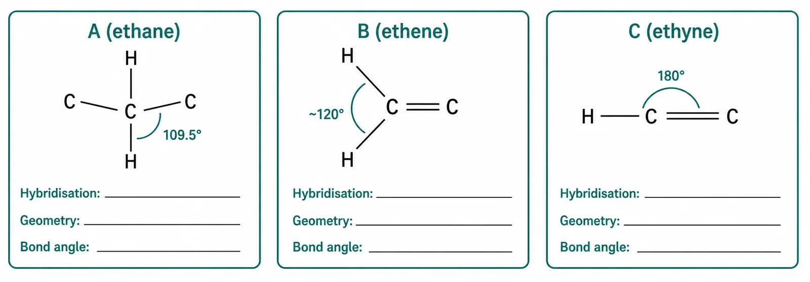 Label the hybridisation diagram