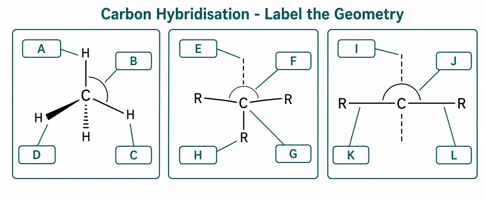 Label the hybridisation diagram