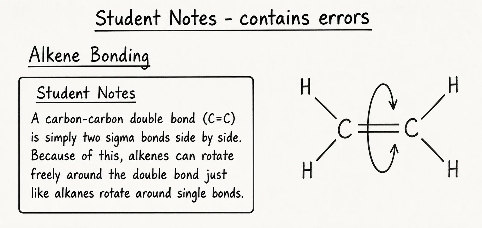 Source critique — student claim about alkene rotation (Band 5–6)