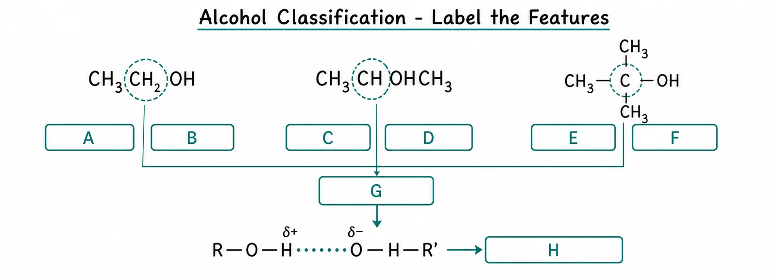 Label the alcohol classification diagram