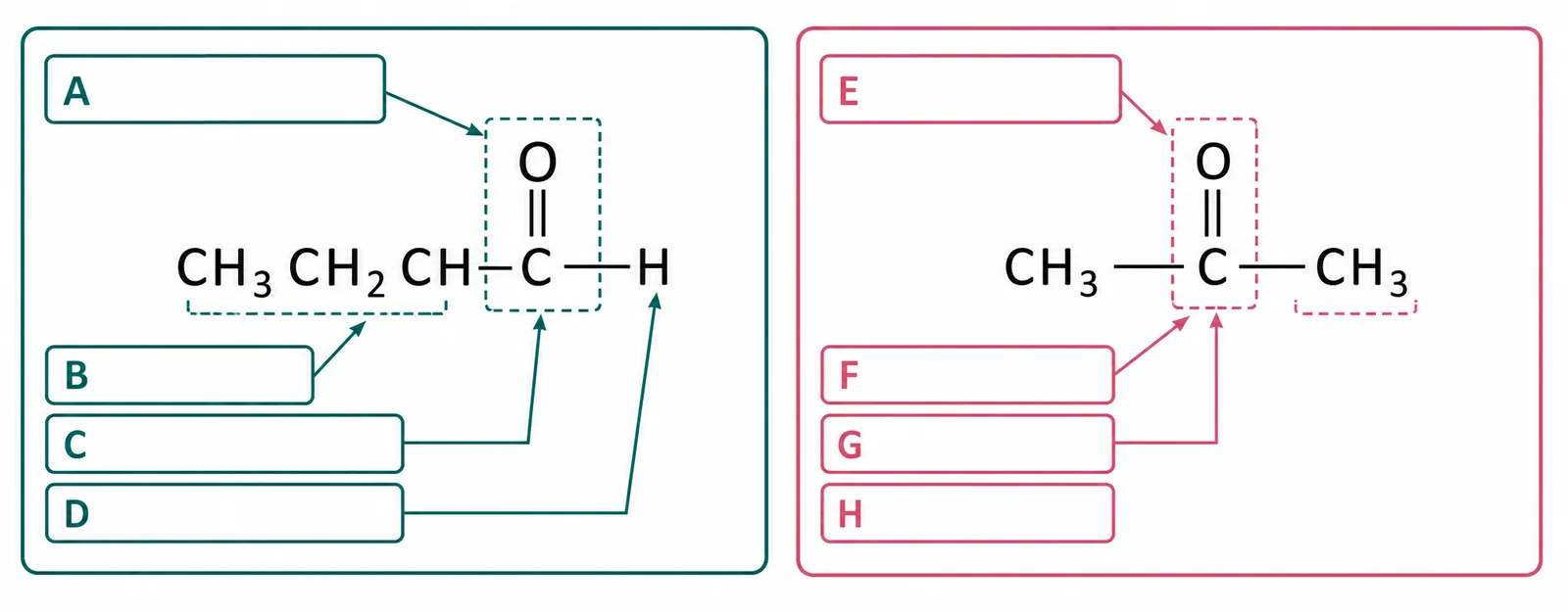 Label the carbonyl structure diagram