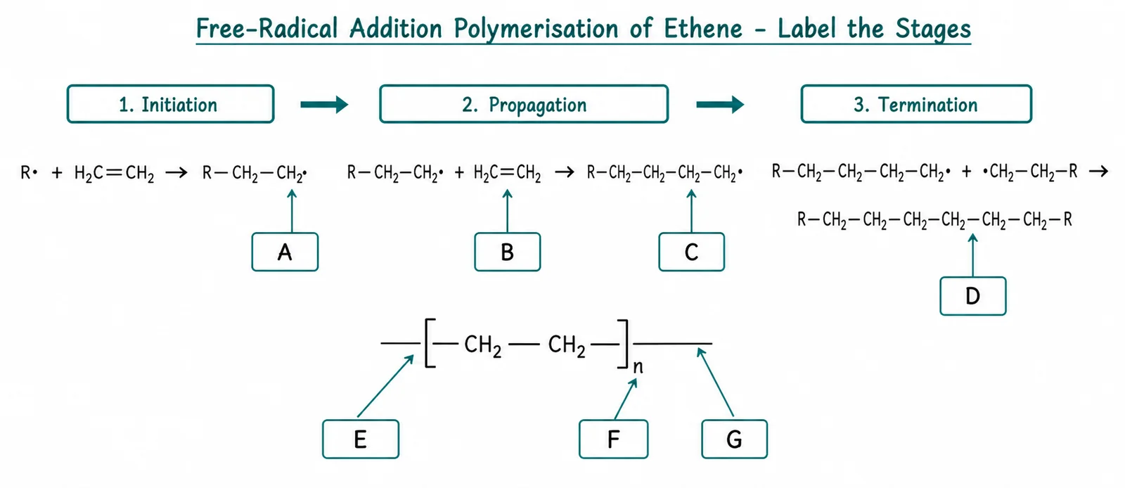Label the addition polymerisation diagram