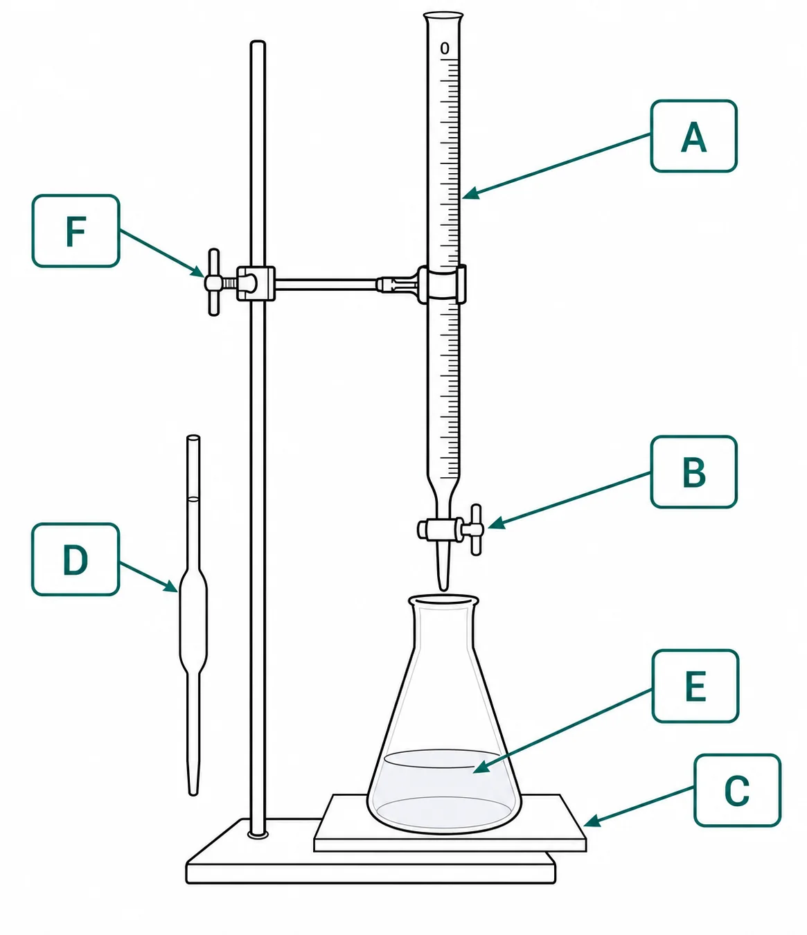 Label the titration set-up