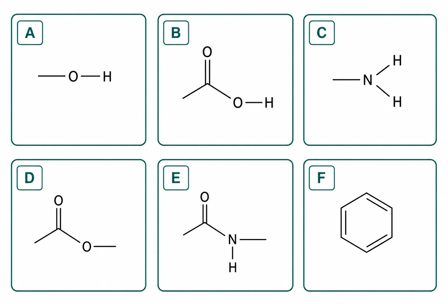 Label the functional group overview diagram
