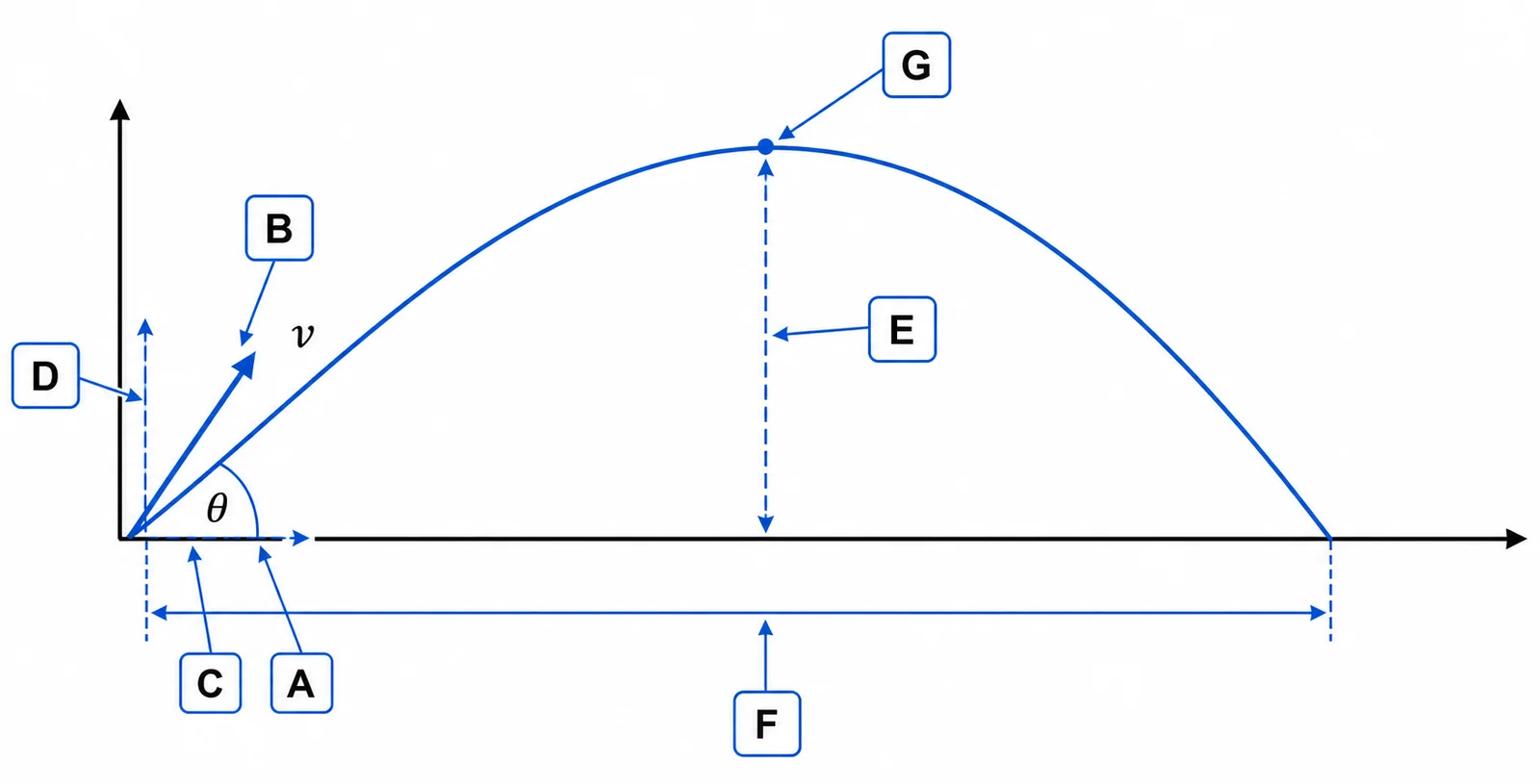 Label the projectile motion diagram