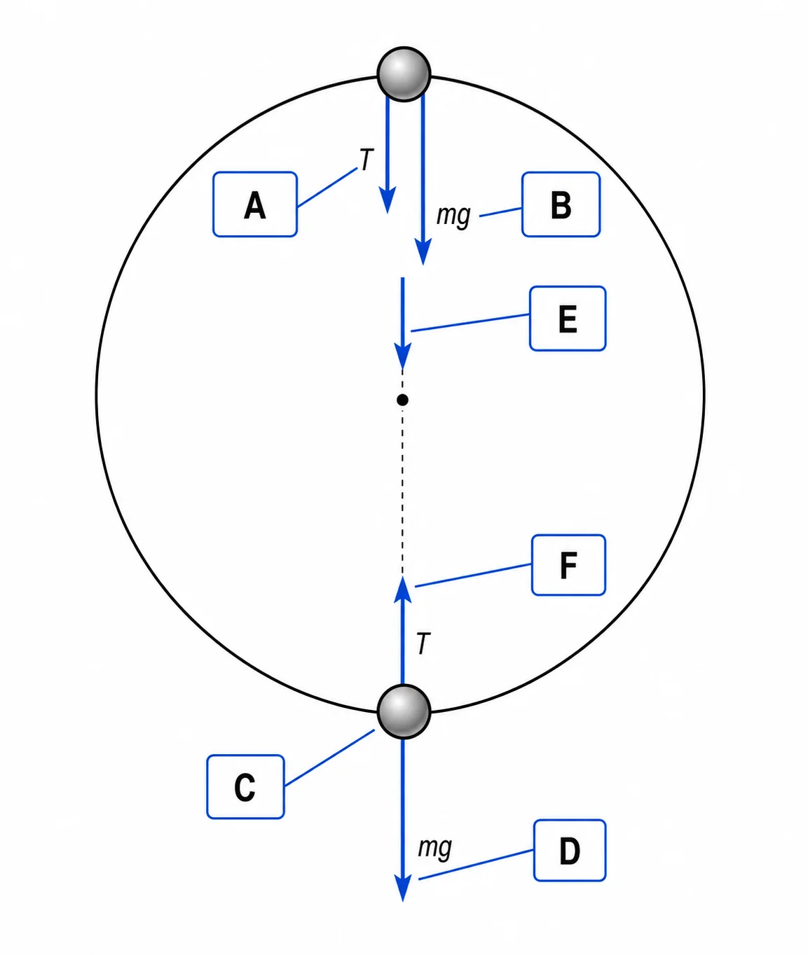 Label the force diagram — vertical circle at top and bottom