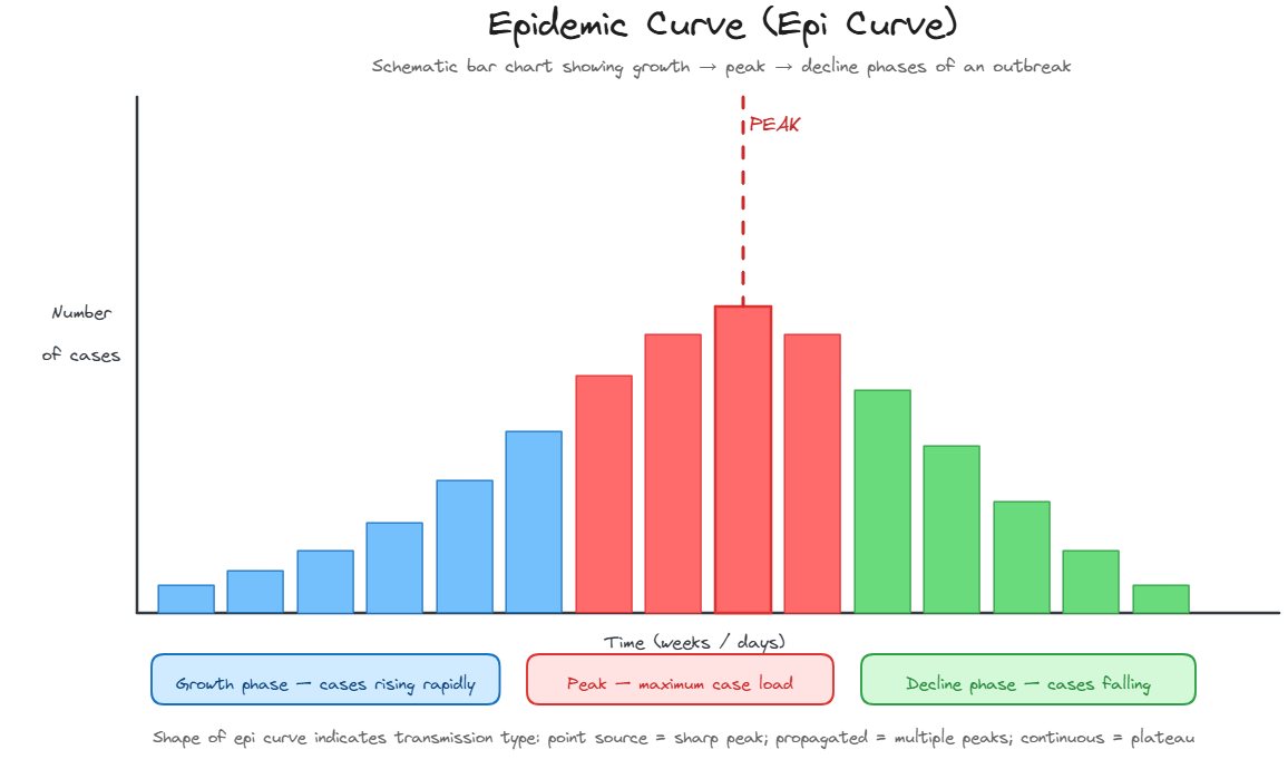 Epidemic Curve — COVID-19 Schematic