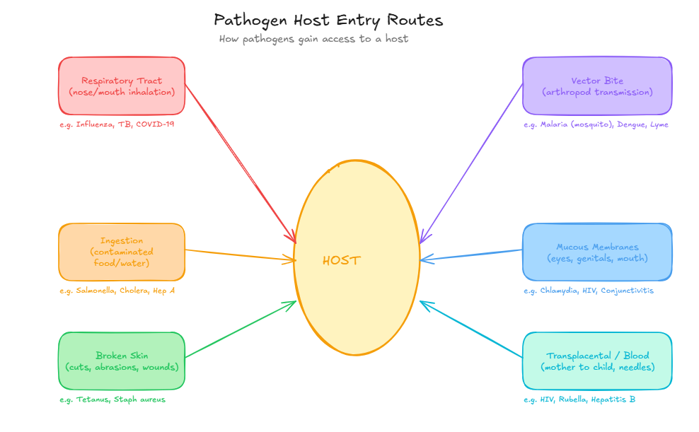 Host Entry Routes