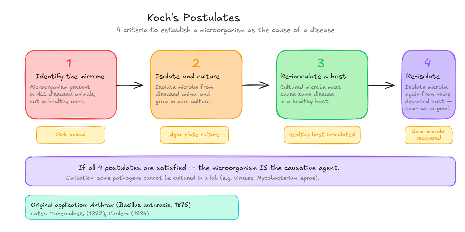 Koch's Postulates — 4 Steps